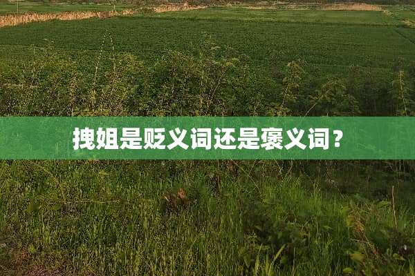 拽姐是贬义词还是褒义词？