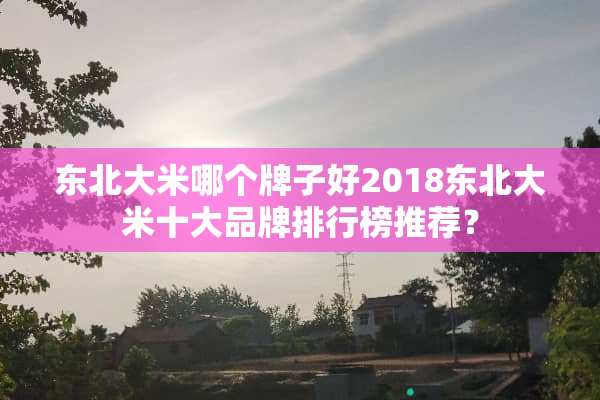 东北大米哪个牌子好2018东北大米十大品牌排行榜推荐？