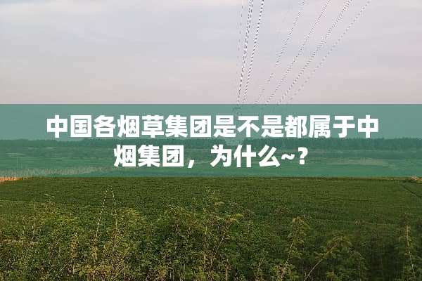 中国各烟草集团是不是都属于中烟集团，为什么~？