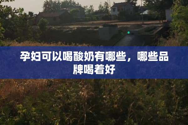 孕妇可以喝酸奶有哪些，哪些品牌喝着好