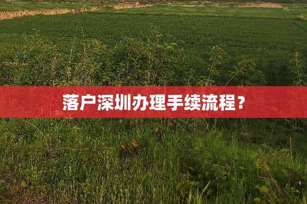 落户深圳办理手续流程？