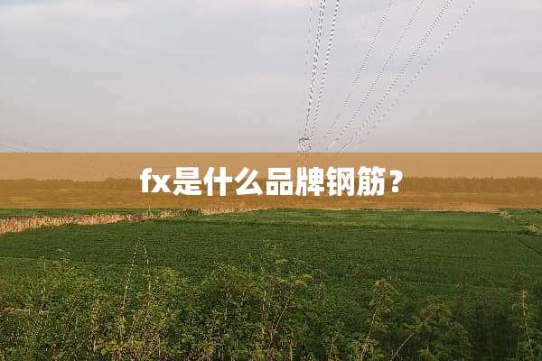 fx是什么品牌钢筋？