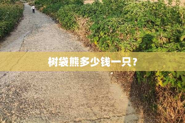 树袋熊多少钱一只？