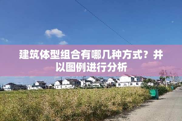 建筑体型组合有哪几种方式？并以图例进行分析
