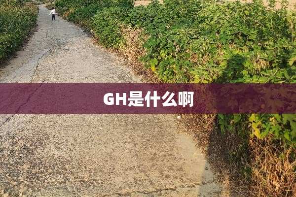 GH是什么啊