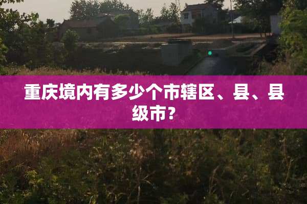 重庆境内有多少个市辖区、县、县级市？