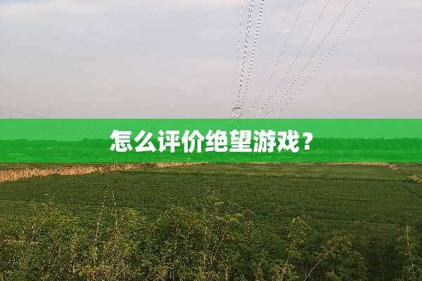 怎么评价绝望游戏？