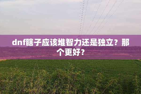 dnf瞎子应该堆智力还是**？那个更好？