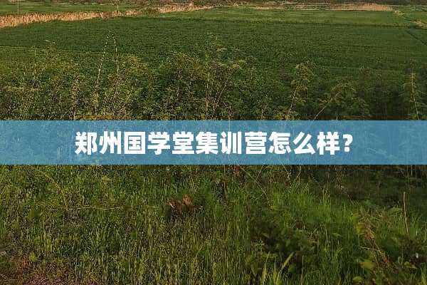 郑州国学堂集训营怎么样？