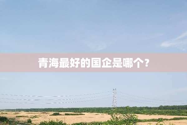 青海最好的国企是哪个？