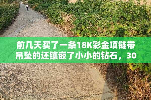 前几天买了一条18K**项链带吊坠的还镶嵌了小小的钻石，3000￥多贵不？