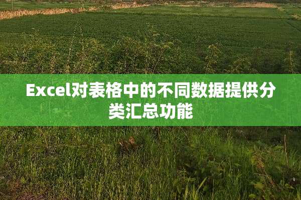 Excel对表格中的不同数据提供分类汇总功能
