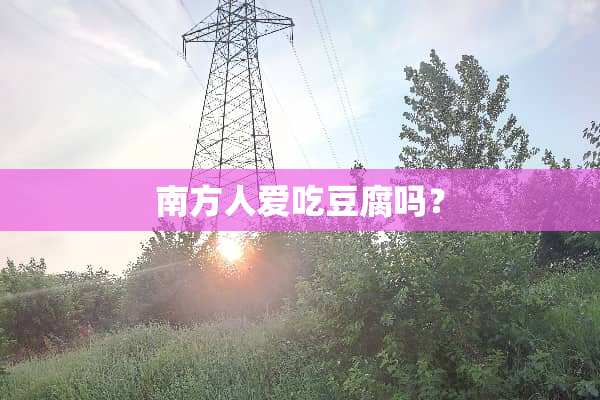 南方人爱吃豆腐吗？