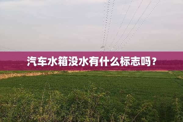 汽车水箱没水有什么标志吗？