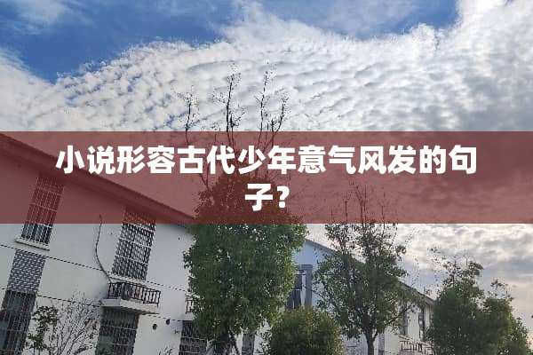 小说形容古代少年意气风发的句子？