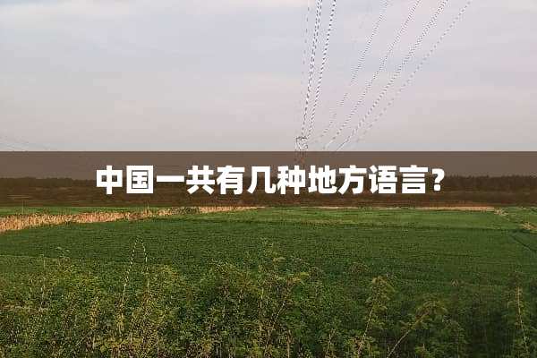 中国一共有几种地方语言？