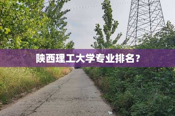 陕西理工大学专业排名？