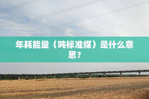 年耗能量（吨标准煤）是什么意思？