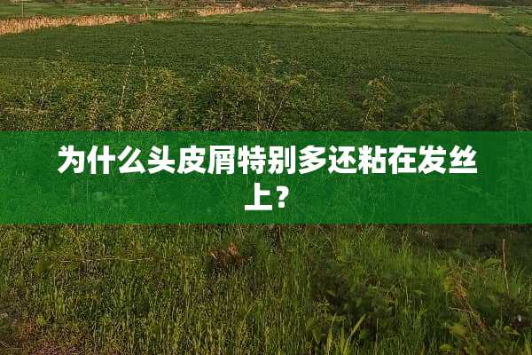 为什么头皮屑特别多还粘在发丝上？