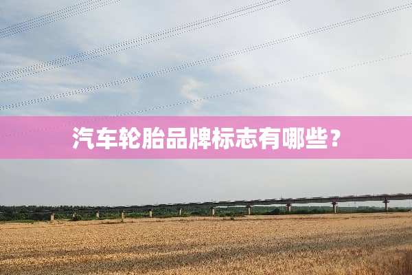 汽车轮胎品牌标志有哪些？