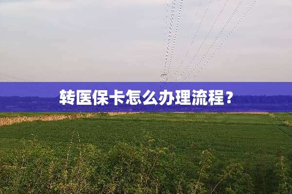 转医保卡怎么办理流程？