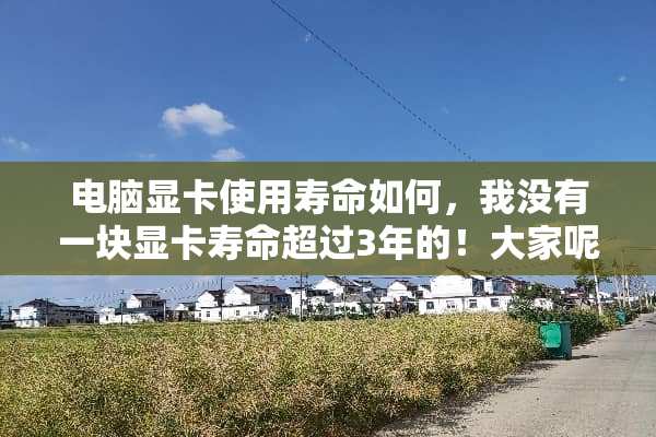 电脑显卡使用寿命如何，我没有一块显卡寿命超过3年的！大家呢？