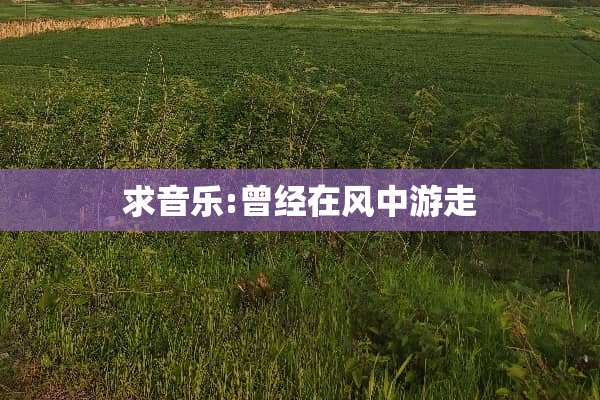 求音乐:曾经在风中游走