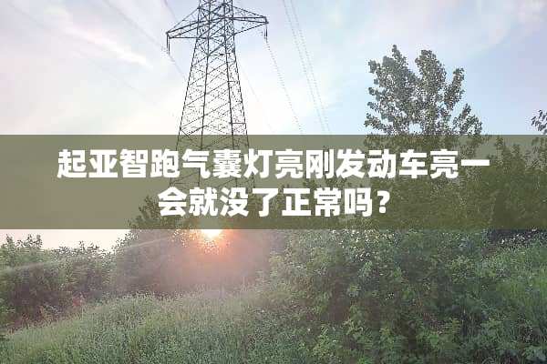 起亚智跑气囊灯亮刚发动车亮一会就没了正常吗？