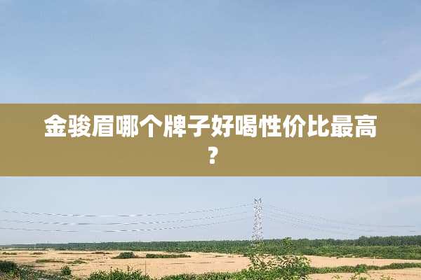 金骏眉哪个牌子好喝性价比最高？