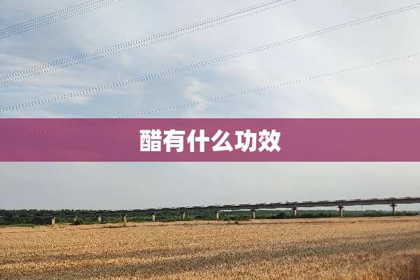 醋有什么功效