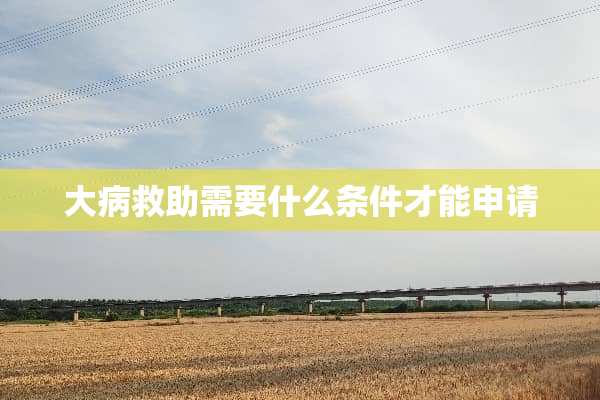 大病救助需要什么条件才能申请