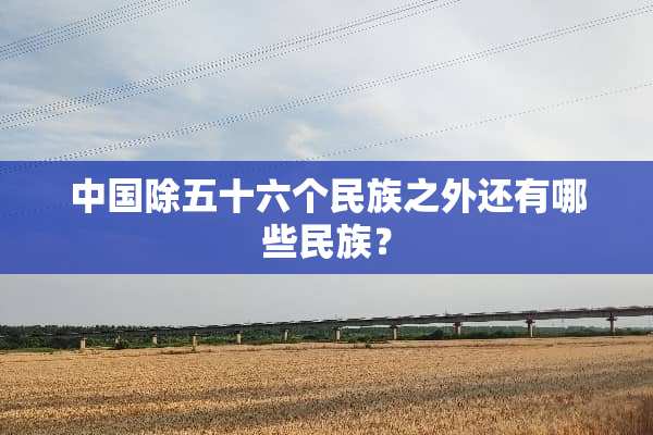 中国除五十六个民族之外还有哪些民族？