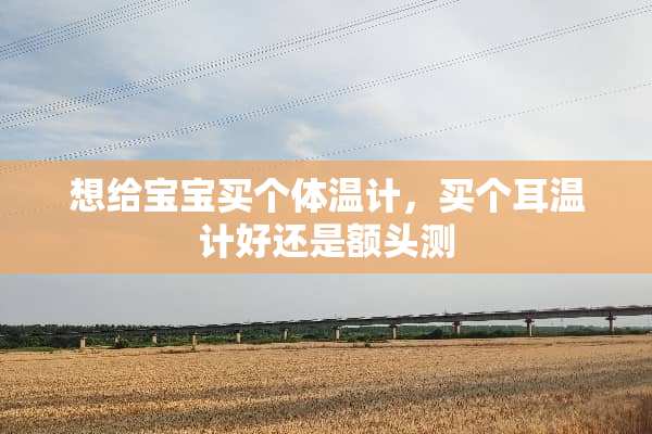 想给宝宝买个体温计，买个耳温计好还是额头测