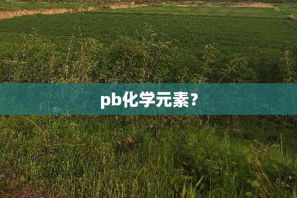 pb化学元素？