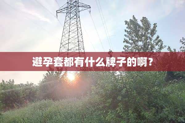 ***都有什么牌子的啊？