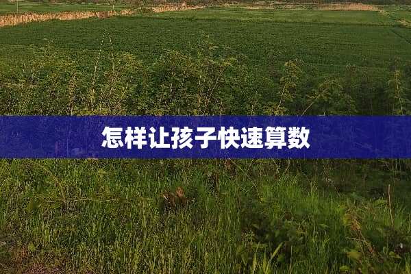 怎样让孩子快速算数