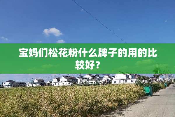 宝妈们松花粉什么牌子的用的比较好？