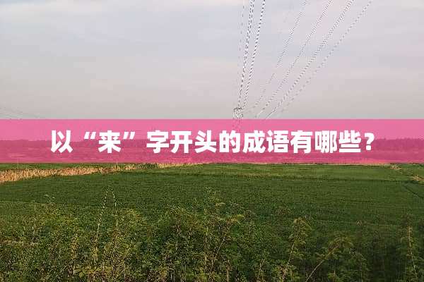 以“来”字开头的成语有哪些？