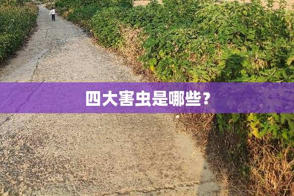 四大害虫是哪些？