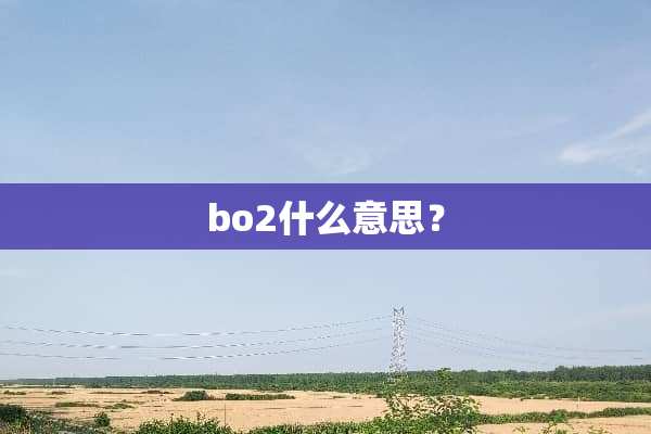 bo2什么意思？