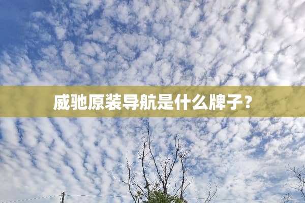 威驰原装导航是什么牌子？