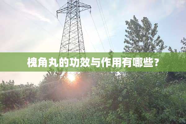 槐角丸的功效与作用有哪些？