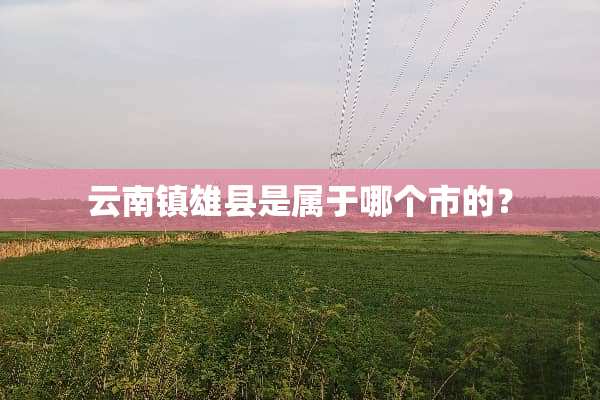 云南镇雄县是属于哪个市的？