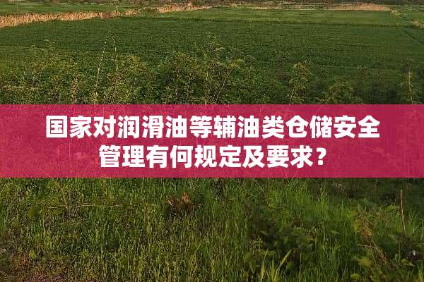国家对润滑油等辅油类仓储安全管理有何规定及要求？