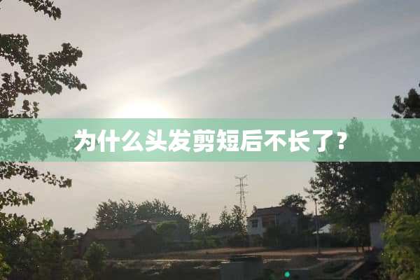 为什么头发剪短后不长了？