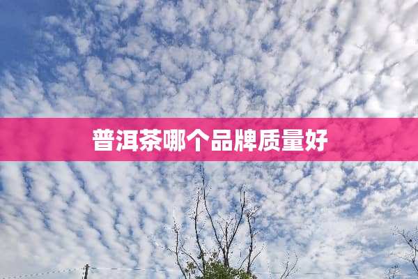 普洱茶哪个品牌质量好