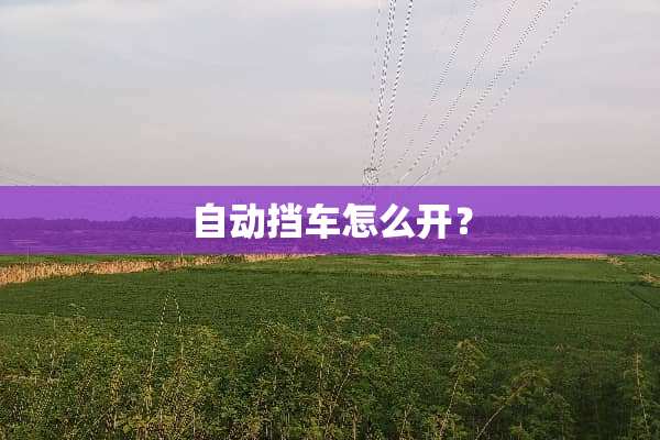 自动挡车怎么开？