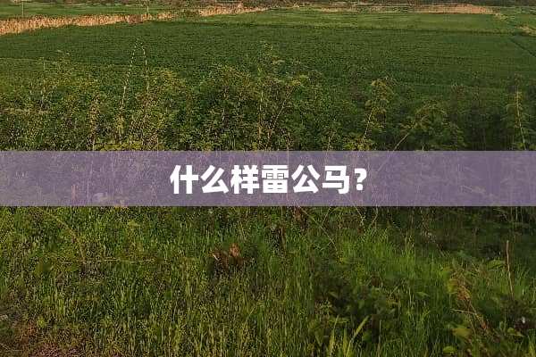 什么样雷公马？
