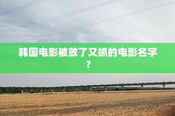 韩国电影被放了又抓的电影名字？