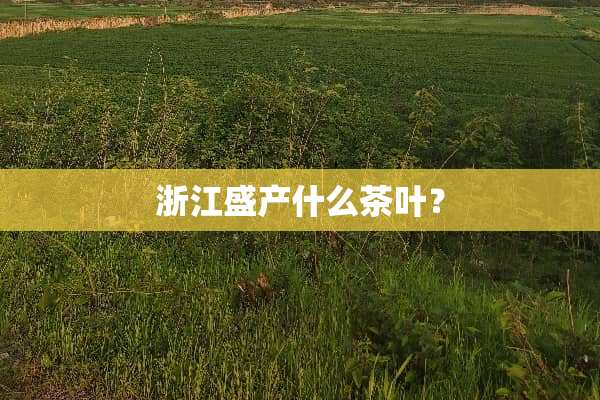 浙江盛产什么茶叶？